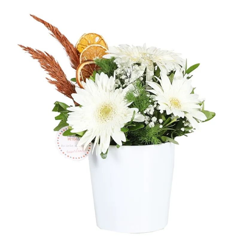 Konya - Kişiye Özel Resimli Beyaz Gerbera
